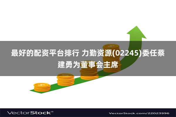 最好的配资平台排行 力勤资源(02245)委任蔡建勇为董事会主席