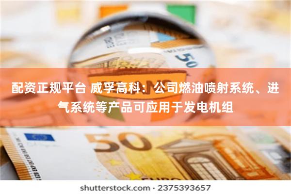 配资正规平台 威孚高科：公司燃油喷射系统、进气系统等产品可应用于发电机组