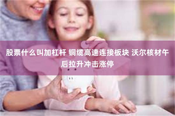 股票什么叫加杠杆 铜缆高速连接板块 沃尔核材午后拉升冲击涨停