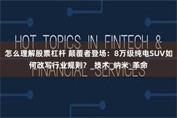 怎么理解股票杠杆 颠覆者登场：8万级纯电SUV如何改写行业规则？_技术_纳米_革命
