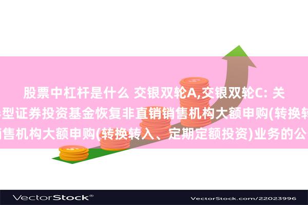 股票中杠杆是什么 交银双轮A,交银双轮C: 关于交银施罗德双轮动债券型证券投资基金恢复非直销销售机构大额申购(转换转入、定期定额投资)业务的公告