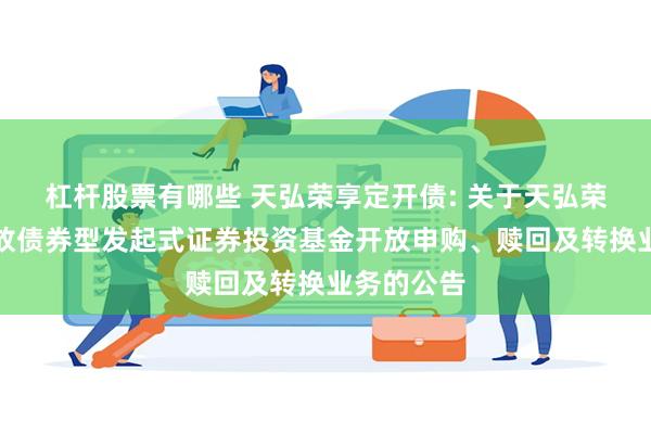 杠杆股票有哪些 天弘荣享定开债: 关于天弘荣享定期开放债券型发起式证券投资基金开放申购、赎回及转换业务的公告