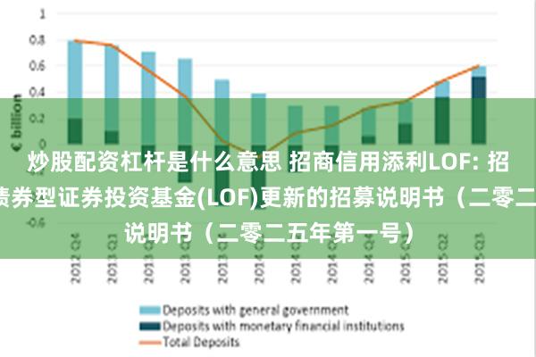炒股配资杠杆是什么意思 招商信用添利LOF: 招商信用添利债券型证券投资基金(LOF)更新的招募说明书(二零二五年第一号)